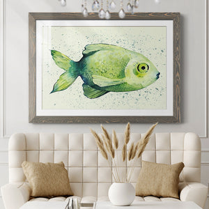 Speckled Freshwater Fish II-Premium Framed Print - Ready to Hang