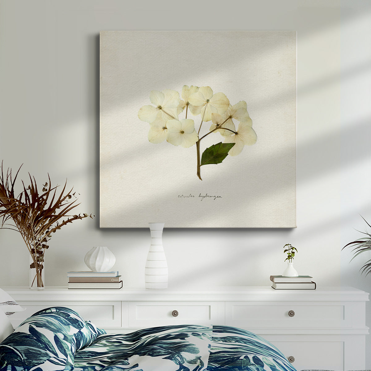 Cornales Hydrangea II-Premium Gallery Wrapped Canvas - Ready to Hang