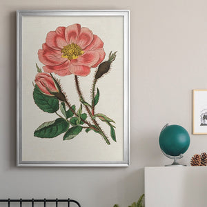 Pink Floral Mix IX Premium Framed Print - Ready to Hang