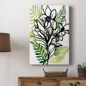 Tropical Sketchbook II Premium Gallery Wrapped Canvas - Ready to Hang