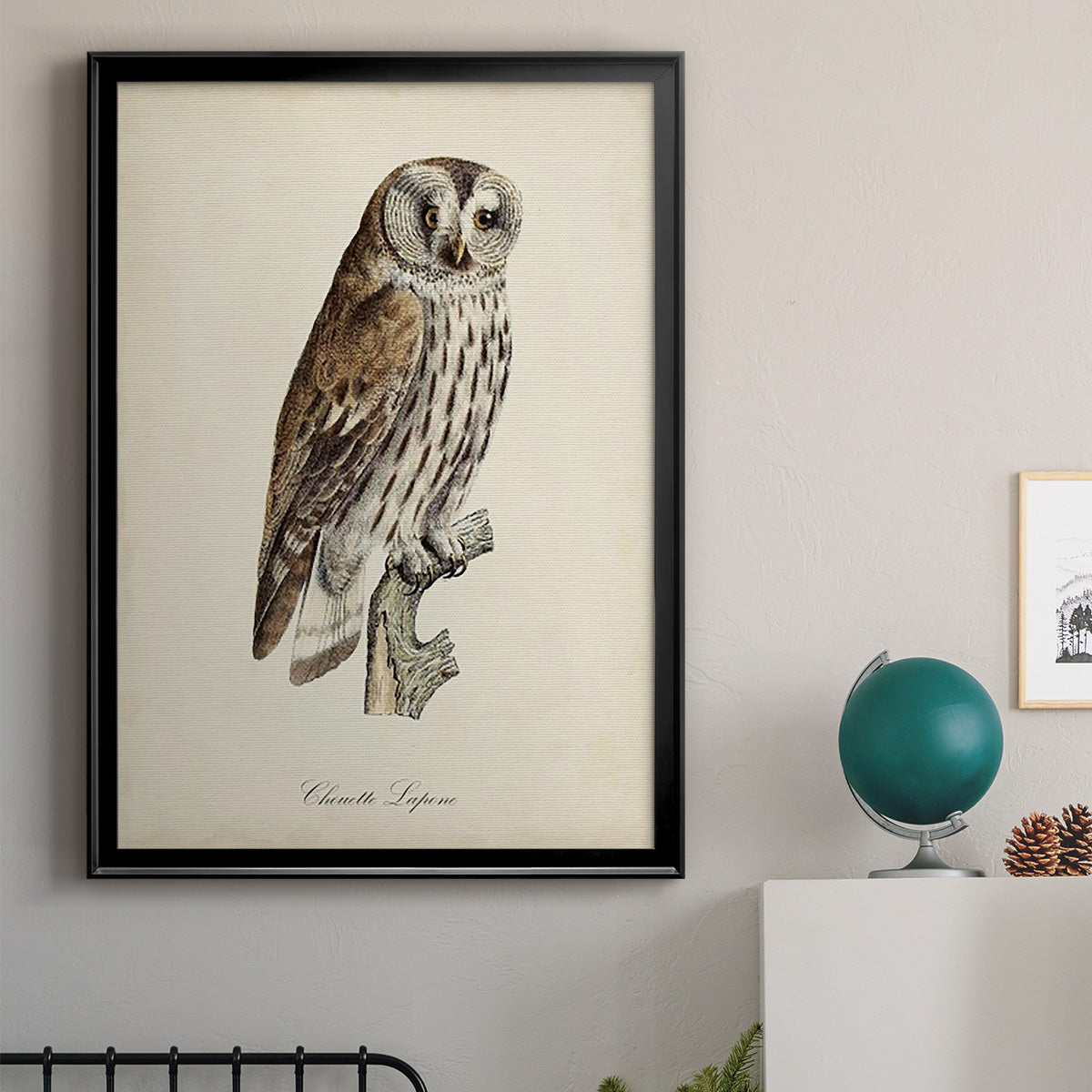 French Owls III Premium Framed Print - Ready to Hang