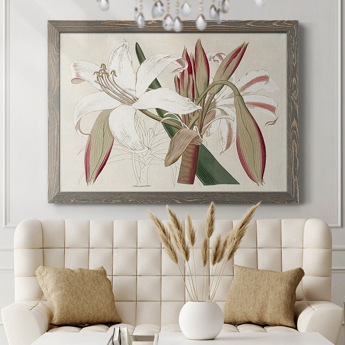 Amaryllis Varietals II-Premium Framed Canvas - Ready to Hang