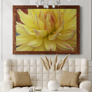 Blooms I-Premium Framed Canvas - Ready to Hang