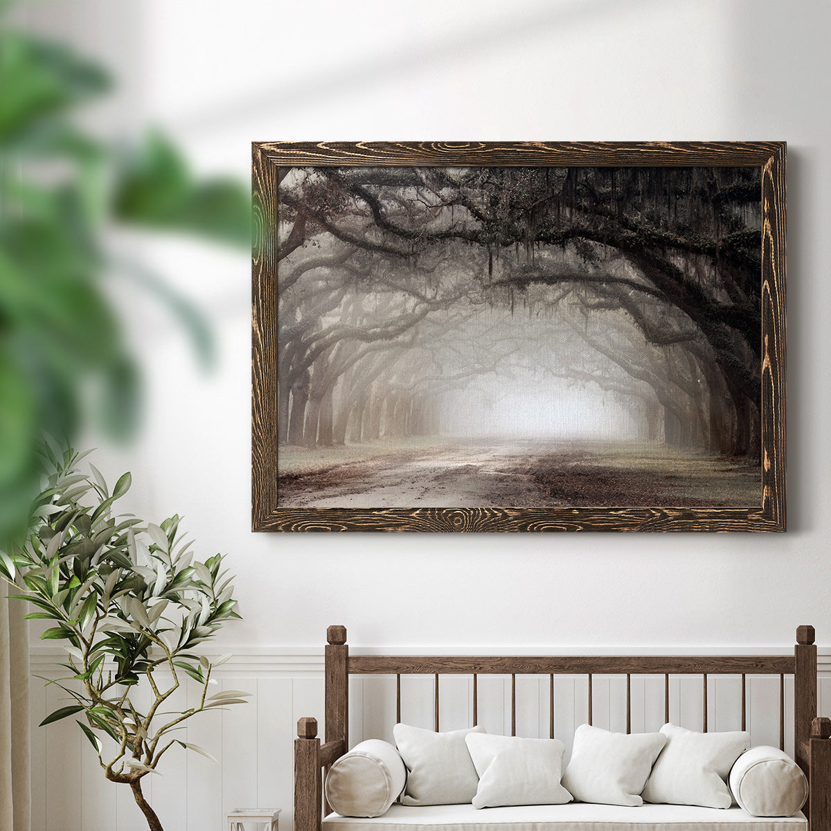 Timeless Plantation Drive-Premium Framed Canvas - Ready to Hang