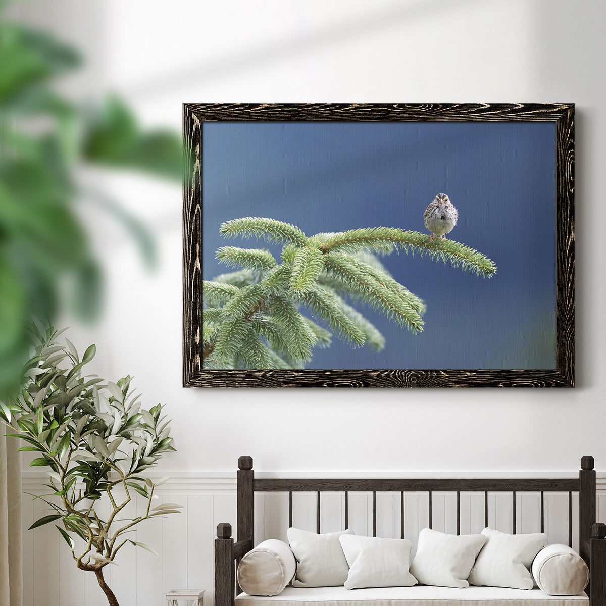 Evergreen Perch-Premium Framed Canvas - Ready to Hang