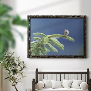 Evergreen Perch-Premium Framed Canvas - Ready to Hang