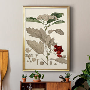 Leaves & Berries I Premium Framed Print - Ready to Hang