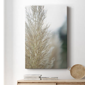 Subtle Grasses IV Premium Gallery Wrapped Canvas - Ready to Hang
