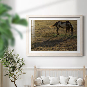 Long Shadow-Premium Framed Print - Ready to Hang