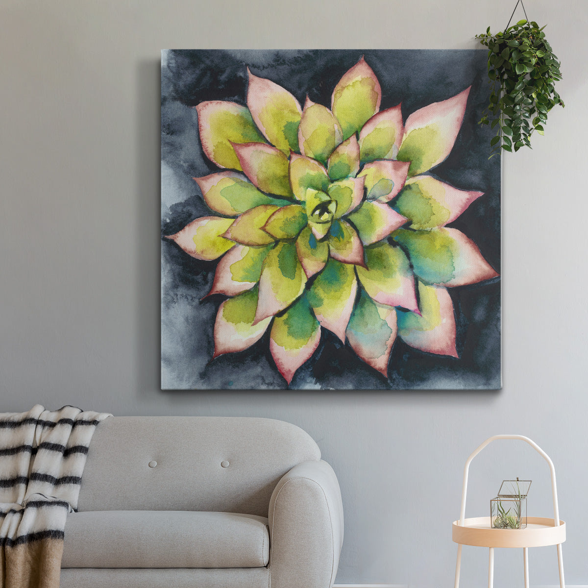 Succulent Rosette IV-Premium Gallery Wrapped Canvas - Ready to Hang