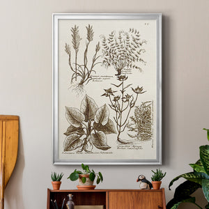 Sepia Botanical Journal VII Premium Framed Print - Ready to Hang