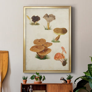 Mushroom Species V Premium Framed Print - Ready to Hang