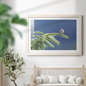 Evergreen Perch-Premium Framed Print - Ready to Hang