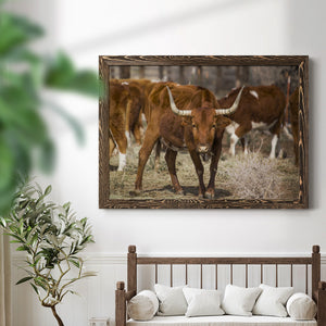 Longhorns-Premium Framed Canvas - Ready to Hang