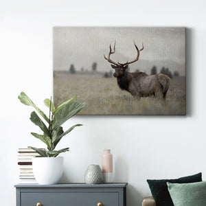 Grand Elk Premium Gallery Wrapped Canvas - Ready to Hang