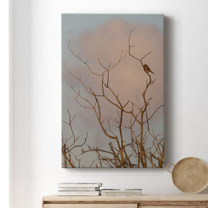 At Dawn Premium Gallery Wrapped Canvas - Ready to Hang