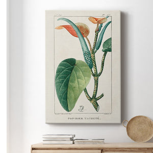 Turpin Tropical Botanicals II Premium Gallery Wrapped Canvas - Ready to Hang