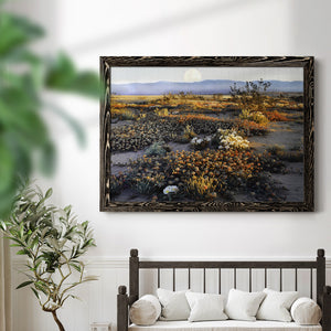 Anza Borrego Desert-Premium Framed Canvas - Ready to Hang