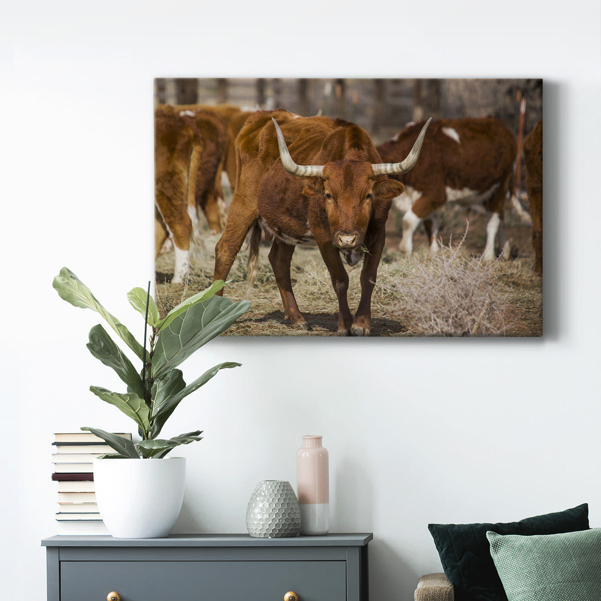 Longhorns Premium Gallery Wrapped Canvas - Ready to Hang