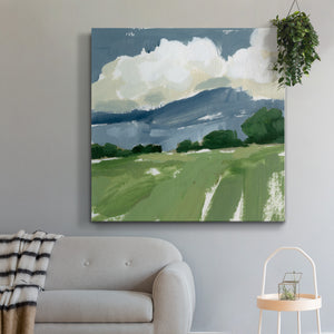 Spring Meadow Study IV-Premium Gallery Wrapped Canvas - Ready to Hang