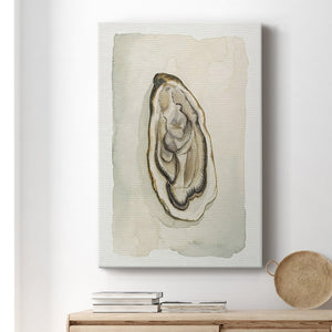 Soft Half Shell II Premium Gallery Wrapped Canvas - Ready to Hang