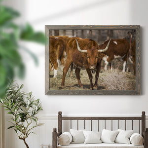 Longhorns-Premium Framed Canvas - Ready to Hang