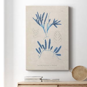 Blue Marine Algae I Premium Gallery Wrapped Canvas - Ready to Hang