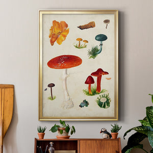 Mushroom Species VIII Premium Framed Print - Ready to Hang