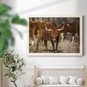 Longhorns-Premium Framed Canvas - Ready to Hang