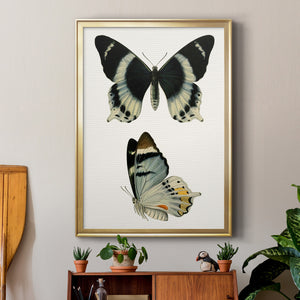 Antique Blue Butterflies I Premium Framed Print - Ready to Hang