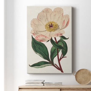 Pink Floral Mix VII Premium Gallery Wrapped Canvas - Ready to Hang
