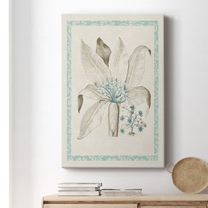 Willow Blue Besler V Premium Gallery Wrapped Canvas - Ready to Hang
