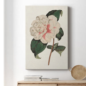 Pink Floral Mix VIII Premium Gallery Wrapped Canvas - Ready to Hang