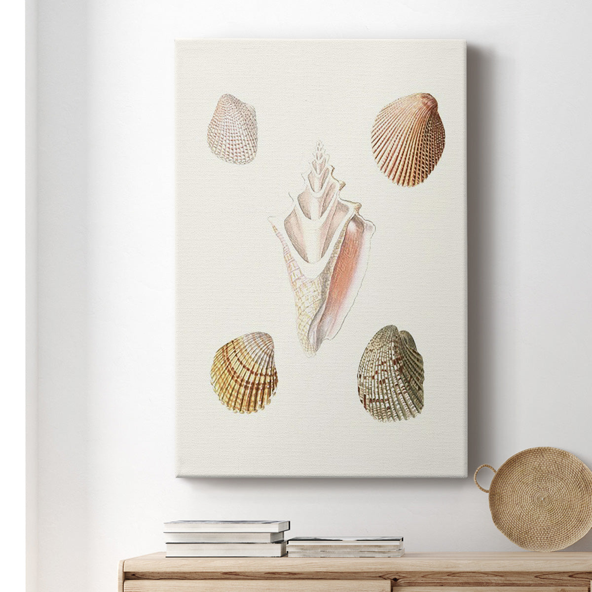 Pastel Knorr Shells IX Premium Gallery Wrapped Canvas - Ready to Hang