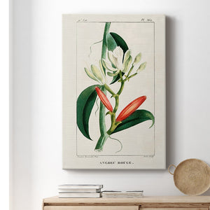 Turpin Tropical Botanicals IX Premium Gallery Wrapped Canvas - Ready to Hang