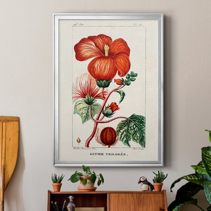 Turpin Tropical Botanicals VII Premium Framed Print - Ready to Hang