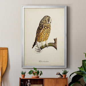 French Owls II Premium Framed Print - Ready to Hang