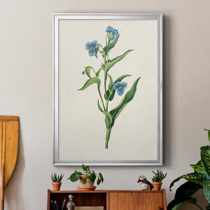 Flowers of the Seasons V Premium Framed Print - Ready to Hang