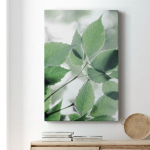 Fields of Green I - Canvas Art Print