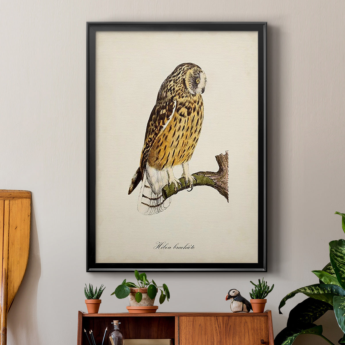 French Owls II Premium Framed Print - Ready to Hang