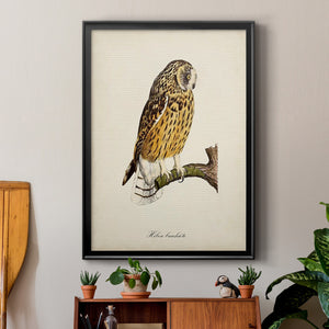 French Owls II Premium Framed Print - Ready to Hang