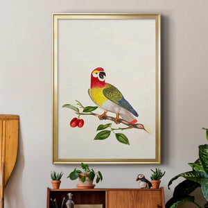 Bird in Habitat VI Premium Framed Print - Ready to Hang