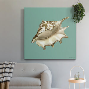 Shell on Aqua IV-Premium Gallery Wrapped Canvas - Ready to Hang