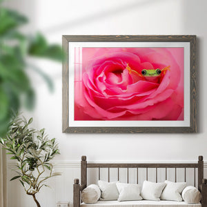 Hanging On VIII-Premium Framed Print - Ready to Hang