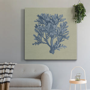 Chambray Coral IV-Premium Gallery Wrapped Canvas - Ready to Hang