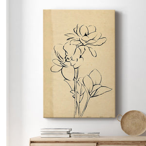 Magnolia Sketch II Premium Gallery Wrapped Canvas - Ready to Hang