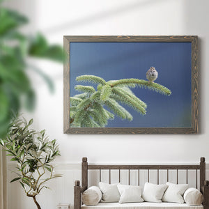 Evergreen Perch-Premium Framed Canvas - Ready to Hang