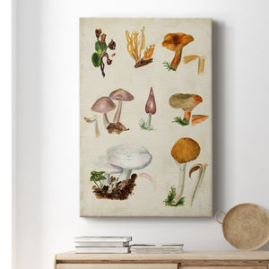 Mushroom Species VI Premium Gallery Wrapped Canvas - Ready to Hang