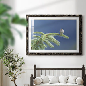 Evergreen Perch-Premium Framed Print - Ready to Hang