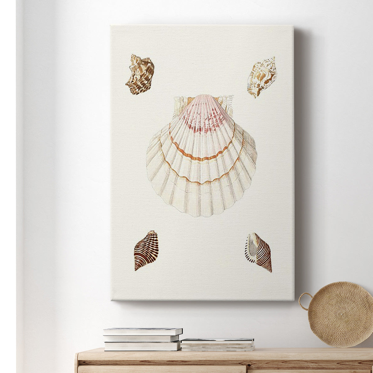 Pastel Knorr Shells IV Premium Gallery Wrapped Canvas - Ready to Hang